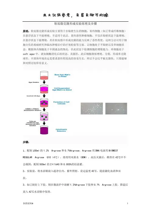 软琼脂克隆形成实验(特选内容)