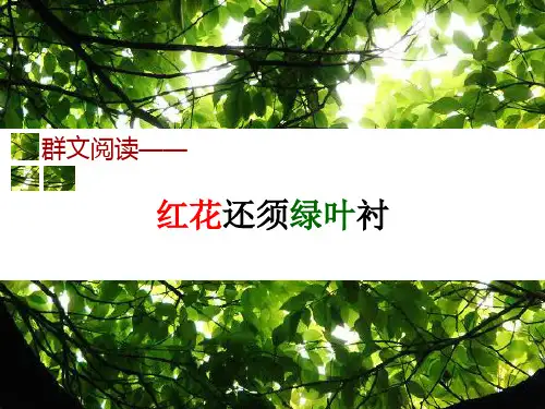 七年级下册语文课件《群文阅读—红花还需绿叶衬》