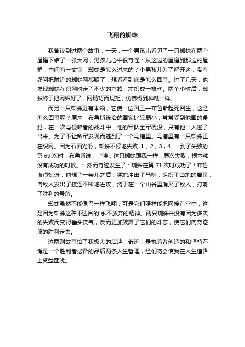 飞翔的蜘蛛
