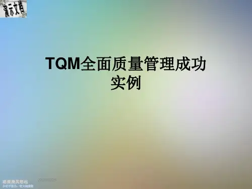 TQM全面质量管理成功实例