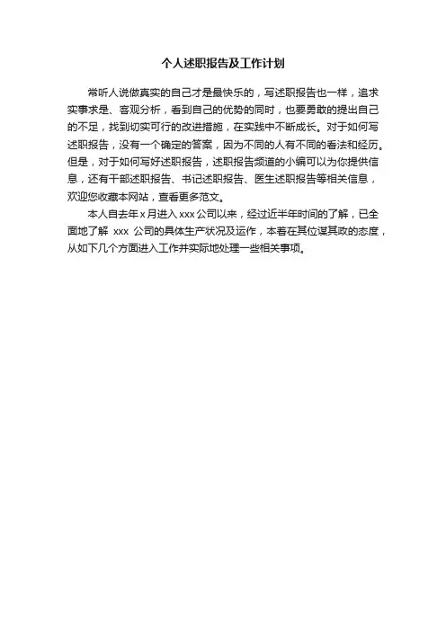个人述职报告及工作计划