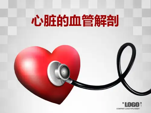 心脏的血管解剖PPT参考幻灯片