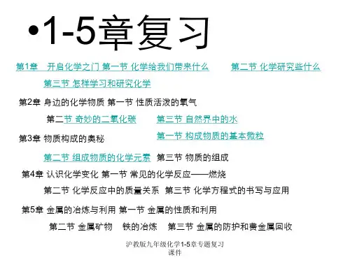 沪教版九年级化学1-5章专题复习课件