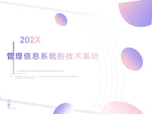 管理信息系统的技术基础