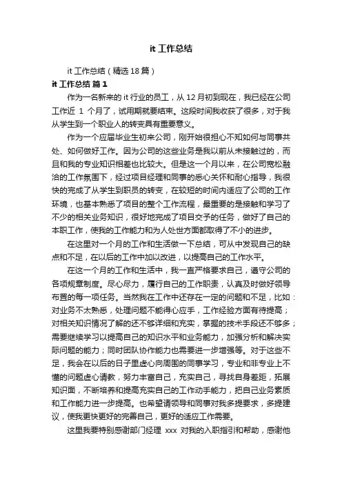 it工作总结