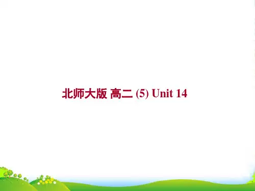 高二英语Unit14 lesson1 Your choice课件 北师大必修5