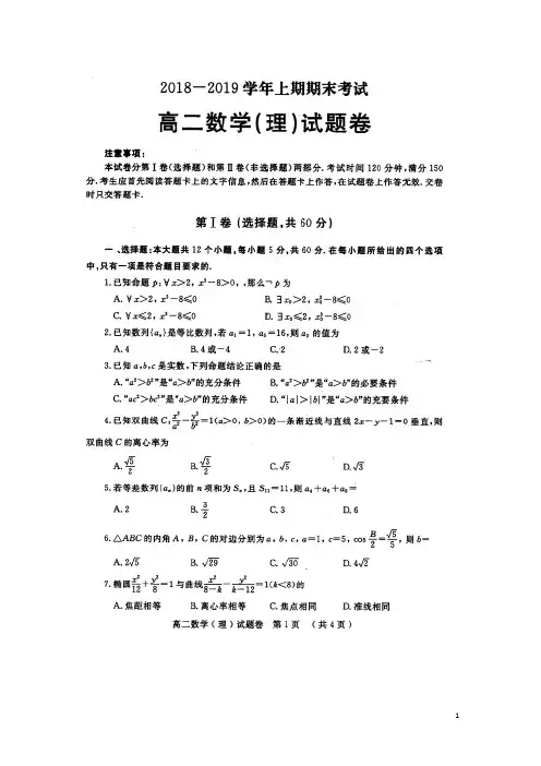 2018-2019学年河南省信阳市高二上学期期末考试数学(理)试题 扫描版