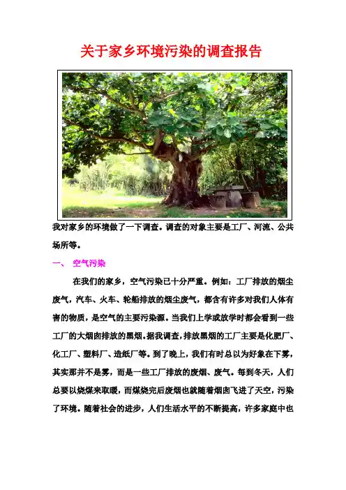 关于家乡环境污染的调查报告