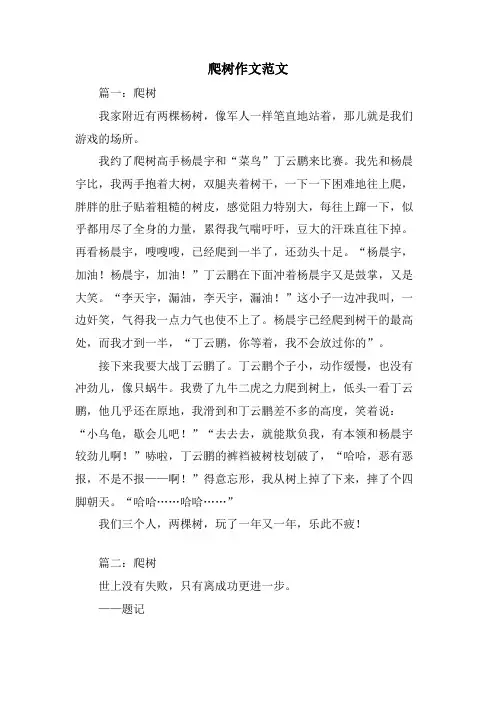 爬树作文范文