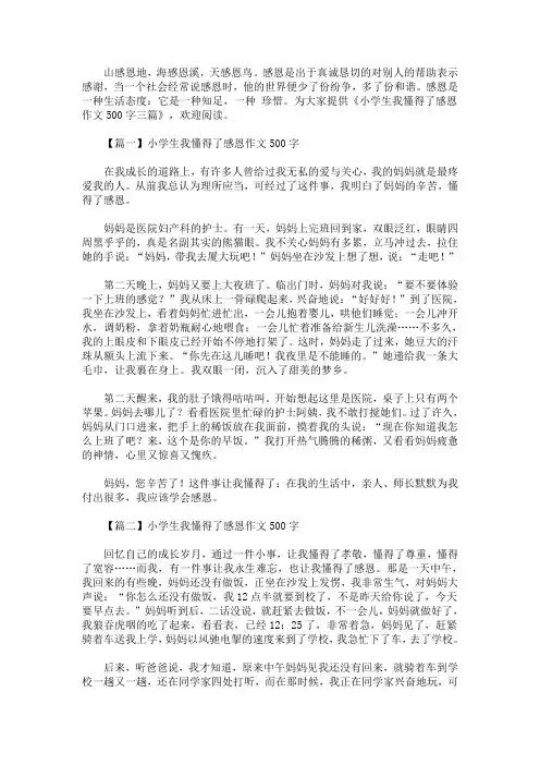 小学生我懂得了感恩作文500字精选汇编(最新)