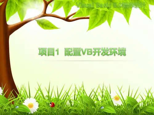 Visual Basic 程序设计(第5版)PPT课件(共9单元)项目1  配置VB开发环境