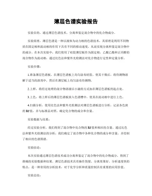 薄层色谱实验报告