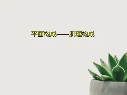 平面构成——肌理构成24页PPT