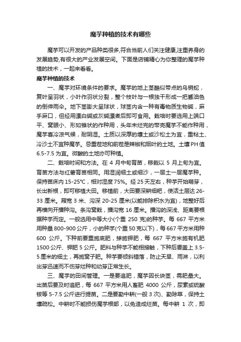 魔芋种植的技术有哪些