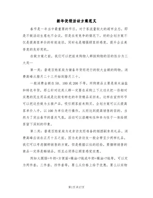 新年促销活动方案范文（6篇）