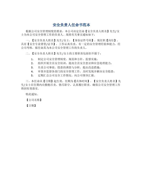 安全负责人任命书范本