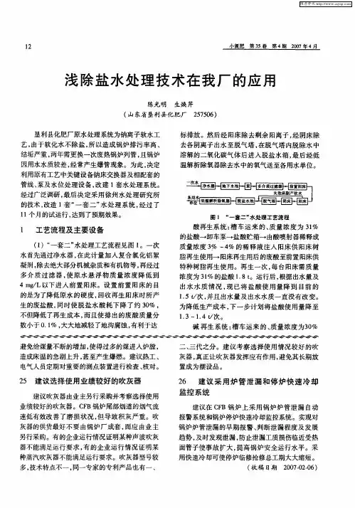 浅除盐水处理技术在我厂的应用