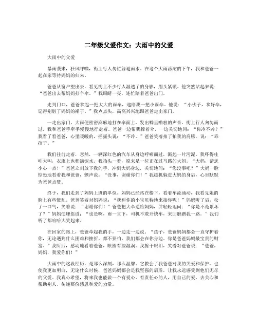 二年级父爱作文：大雨中的父爱