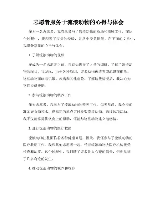 志愿者服务于流浪动物的心得与体会