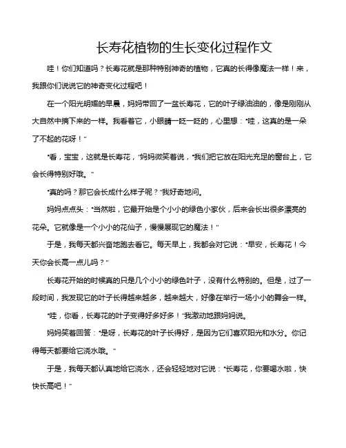长寿花植物的生长变化过程作文