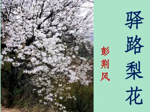 《驿路梨花》公开课优质完整ppt课件