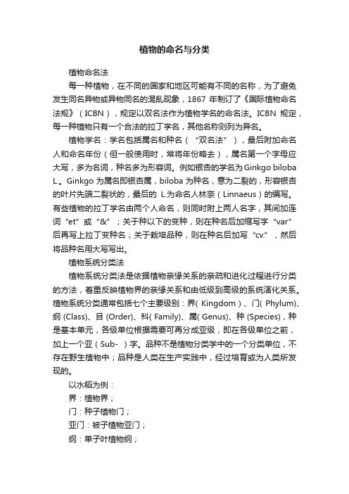 植物的命名与分类