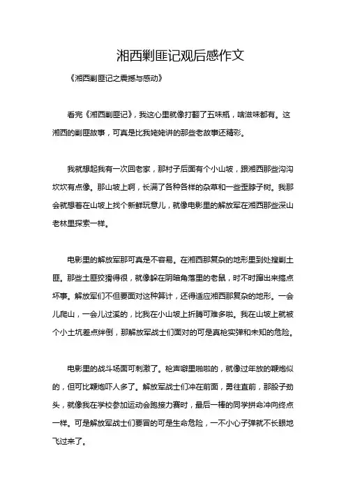 湘西剿匪记观后感作文