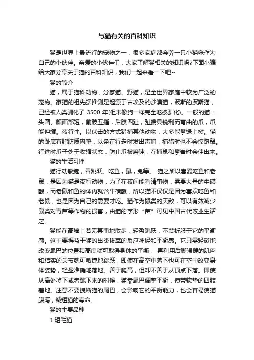 与猫有关的百科知识