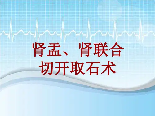 手术讲解模板：肾盂、肾联合切开取石术