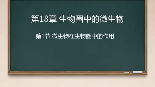 微生物在生物圈中的作用ppt课件