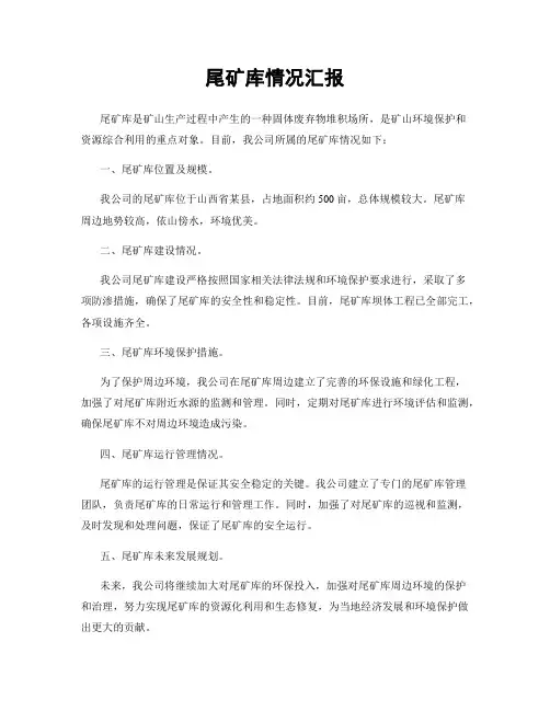 尾矿库情况汇报