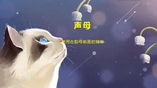声母    
