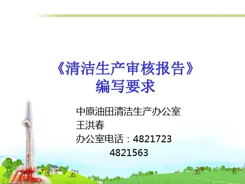 2《清洁生产审核报告》编写要求及案例