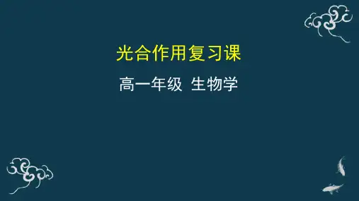 光合作用复习课 课件-2020年秋高中生物人教版(2019)必修一