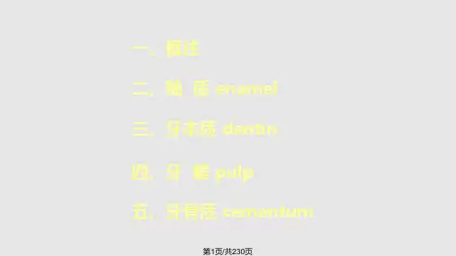 第三章牙体组织PPT课件