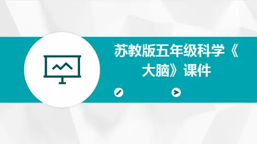 苏教版五年级科学《大脑》课件