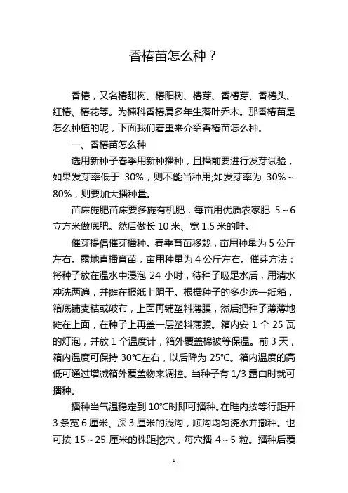 香椿苗怎么种？