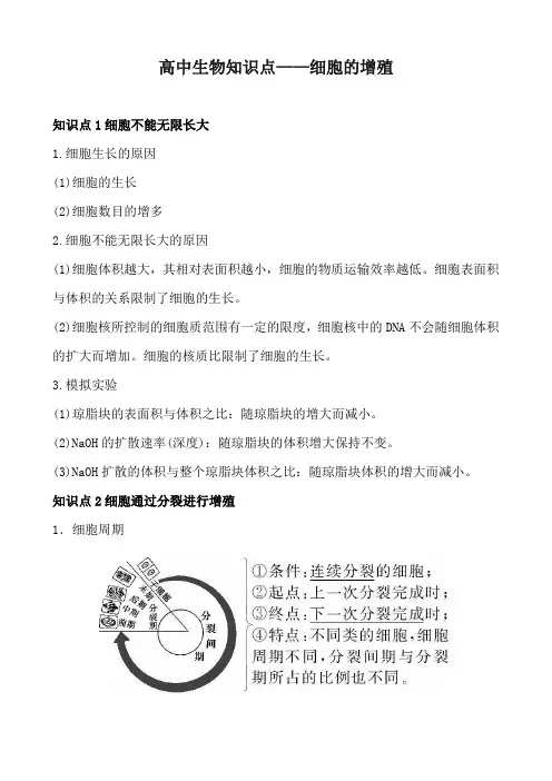 高中生物知识点——细胞的增殖