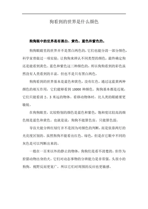 狗看到的世界是什么颜色