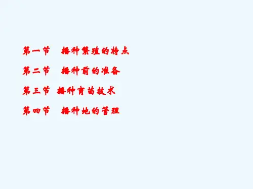 播种繁殖