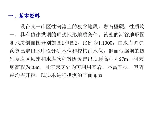拱坝布置实例