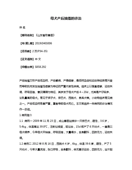 母犬产后抽搐的诊治