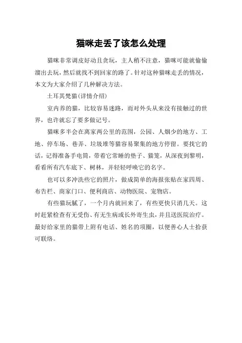猫咪走丢了该怎么处理