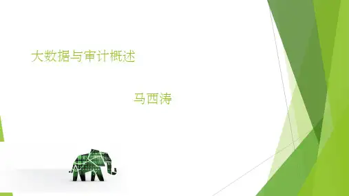 大数据与审计ppt课件