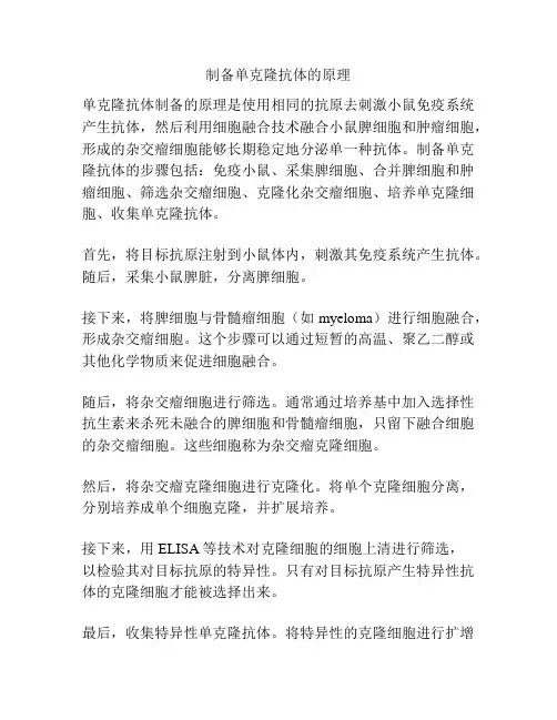 制备单克隆抗体的原理