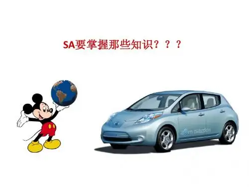 SA知识
