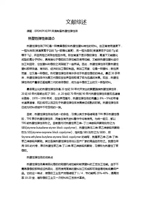论文综述 初稿 无格式版本