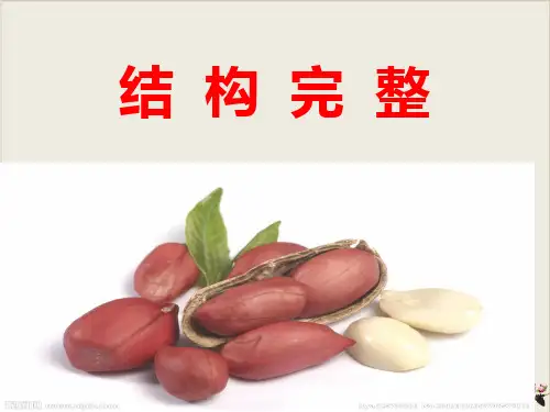 中考作文复习：《结构完整》优秀课件(共31张PPT)【完美版】