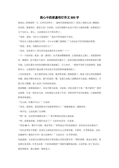 我心中的那盏明灯作文800字