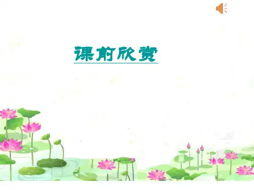 人教版(五线谱)八年级上册音乐《洪湖水,浪打浪》(一等奖课件)